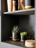 The Little Botanical Succulent Duo & Coaster Set, Black