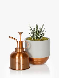 The Little Botanical Copper Mister & Plant Set, Copper
