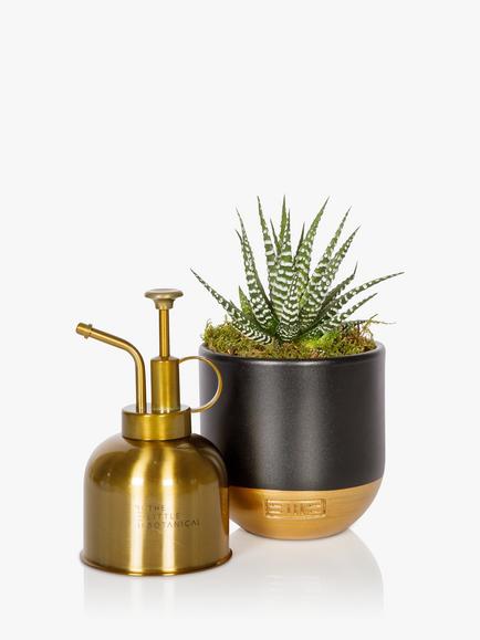 The Little Botanical Gold Mister & Plant Set, Gold