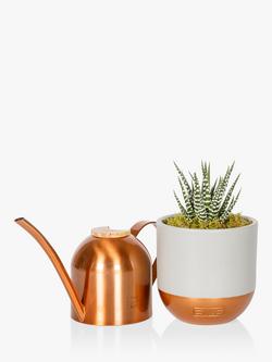 The Little Botanical Copper Watering Can & Plant Set, Copper