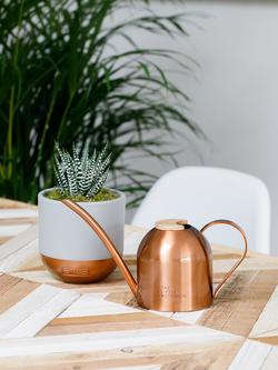 The Little Botanical Copper Watering Can & Plant Set - view 2, Copper