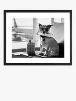 Brookpace Lascelles 'Terrier Travel' Framed Print & Mount, 45.5 x 55.5, Black/White, Black/White
