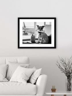 Brookpace Lascelles 'Terrier Travel' Framed Print & Mount, 45.5 x 55.5, Black/White - view 2, Black/White