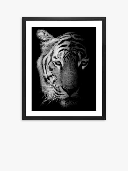 Brookpace Lascelles Tiger Framed Print & Mount, 81 x 65.5, Black/White, Black/White