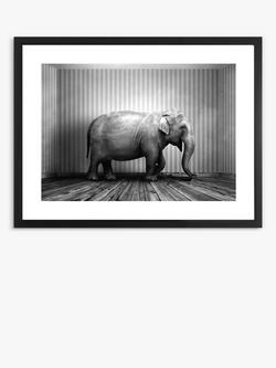 Brookpace Lascelles 'Elephant In The Room' Framed Print & Mount, 65.5 x 85.5cm, Black/White, Black/White