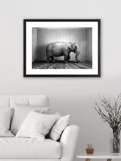 Brookpace Lascelles 'Elephant In The Room' Framed Print & Mount, 65.5 x 85.5cm, Black/White - view 2, Black/White