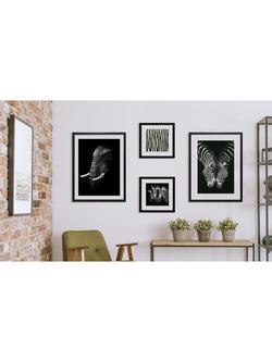 Brookpace Lascelles Elephant Framed Print & Mount, 81 x 65.5cm, Black/White - view 2, Black/White