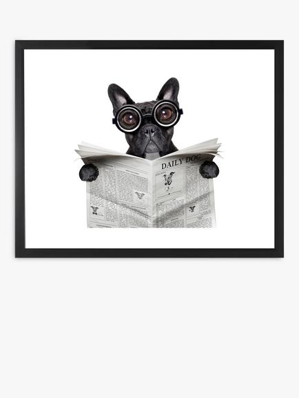 Brookpace Lascelles 'Bulldog News' Framed Print & Mount, 45.5 x 55.5cm, Black/White, Black/White