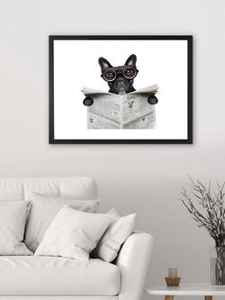 Brookpace Lascelles 'Bulldog News' Framed Print & Mount, 45.5 x 55.5cm, Black/White - view 2, Black/White