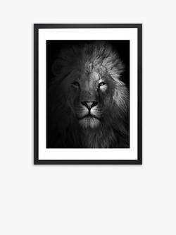Brookpace Lascelles Lion Framed Print & Mount, 81 x 65.5cm, Black/White, Black/White