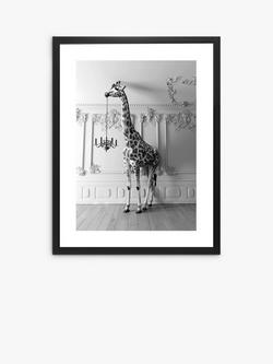 Brookpace Lascelles Giraffe Chandelier Framed Print & Mount, 86 x 66cm, Black/White, Black/White