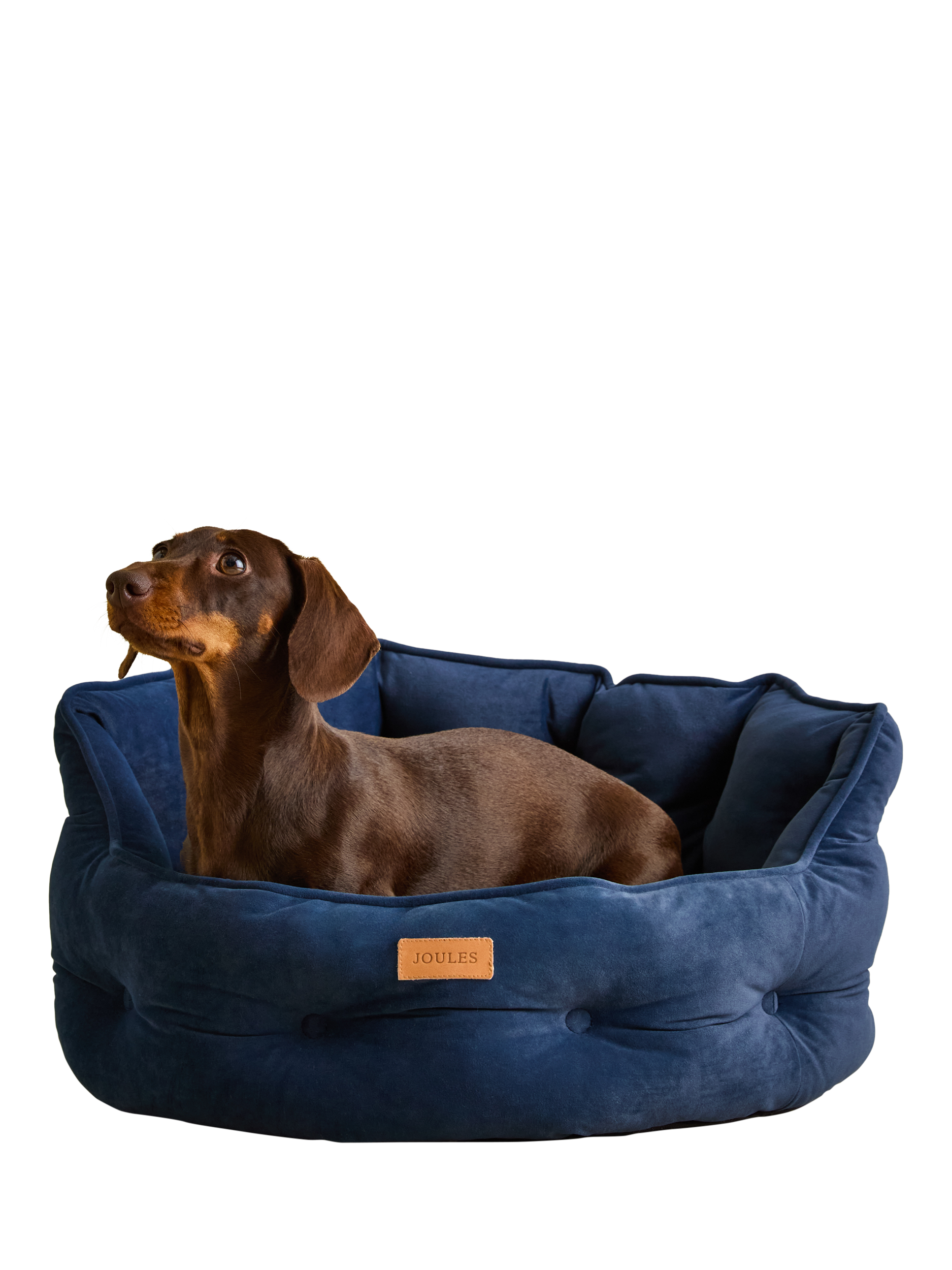 Joules Chesterfield Pet Bed, Navy
