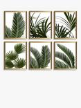 John Lewis Linda Wood 'Tropical Leaves' Framed Print, Set of 6, 32 x 26cm, Green