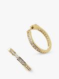 Ivory & Co. Copenhagen Cubic Zirconia Hoop Earrings, Gold