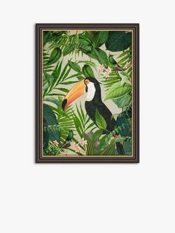 John Lewis Andrea Haase Jungle Toucan Framed Print, 77 x 57cm, Green/Multi, Green/Multi