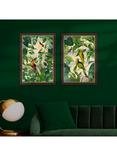 John Lewis Andrea Haase Tropical Birds Framed Prints, Set of 2, 67 x 47cm, Green/Multi