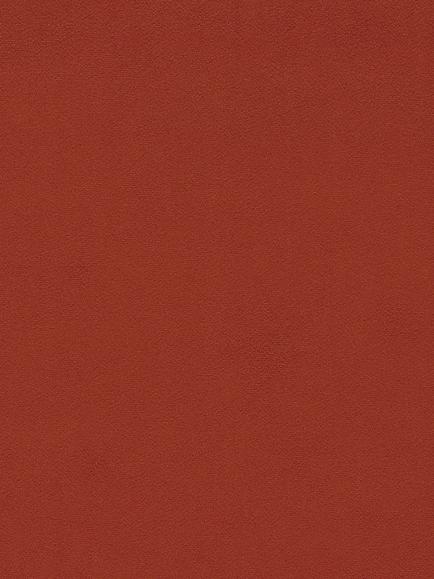Sanderson Dorton Furnishing Fabric, Chilli