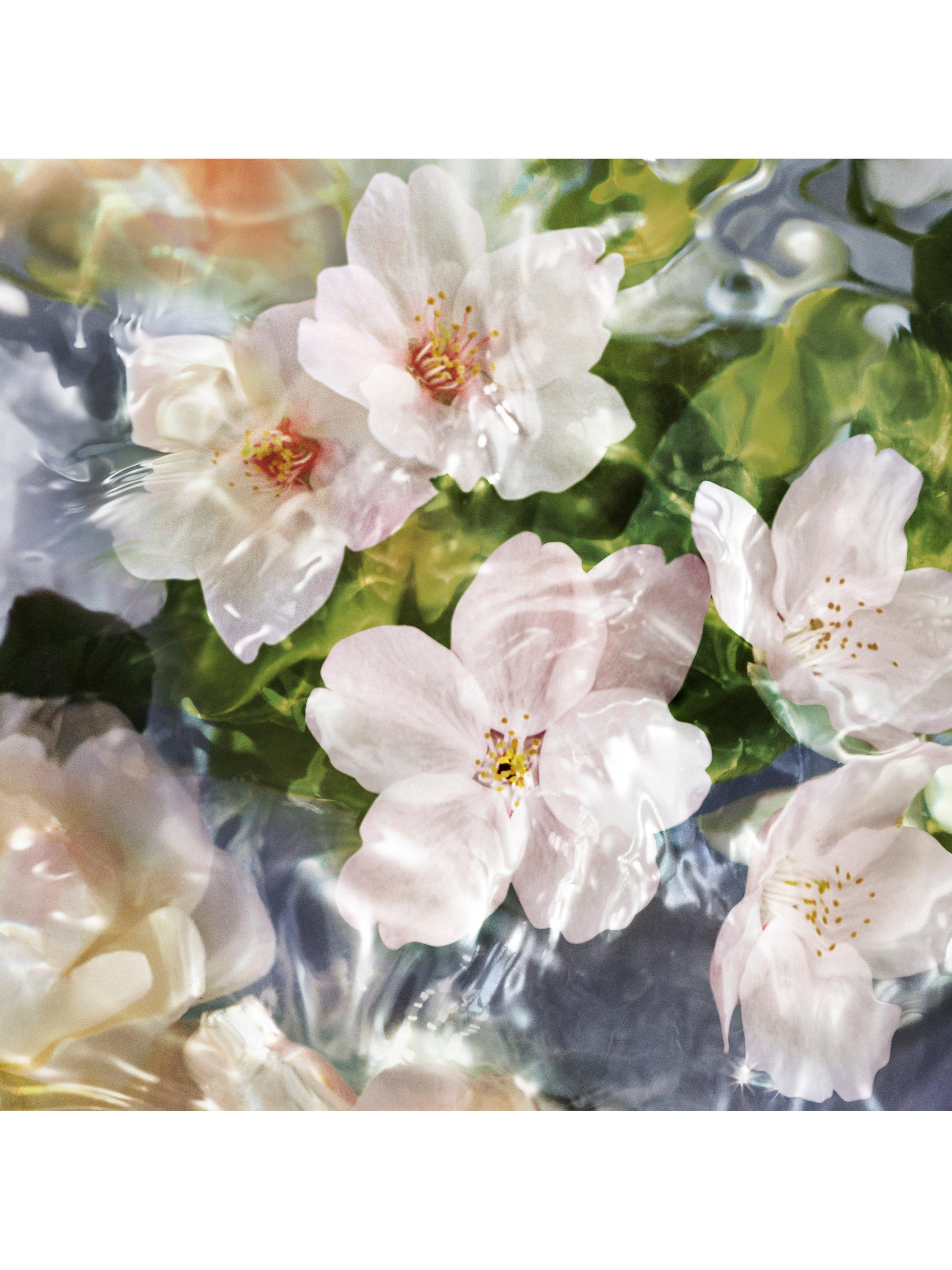 Product image 2 of 5, which shows Guerlain Aqua Allegoria Flora Cherrysia Eau de Toilette, Refill, 200ml
