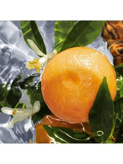 Guerlain Aqua Allegoria Pamplelune Eau de Toilette Spray, Refill, 200ml - view 2, 