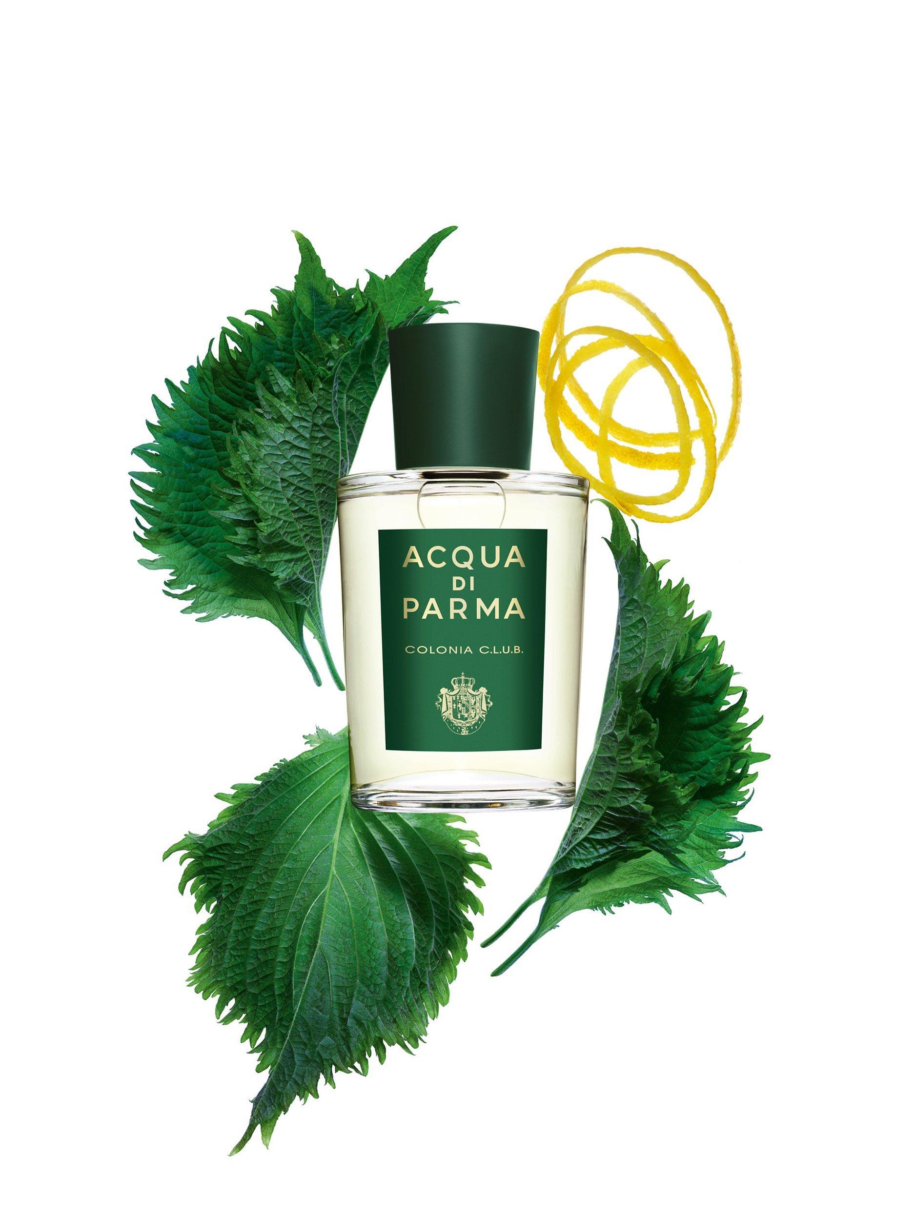 Acqua di Parma outlet 1.7 oz.