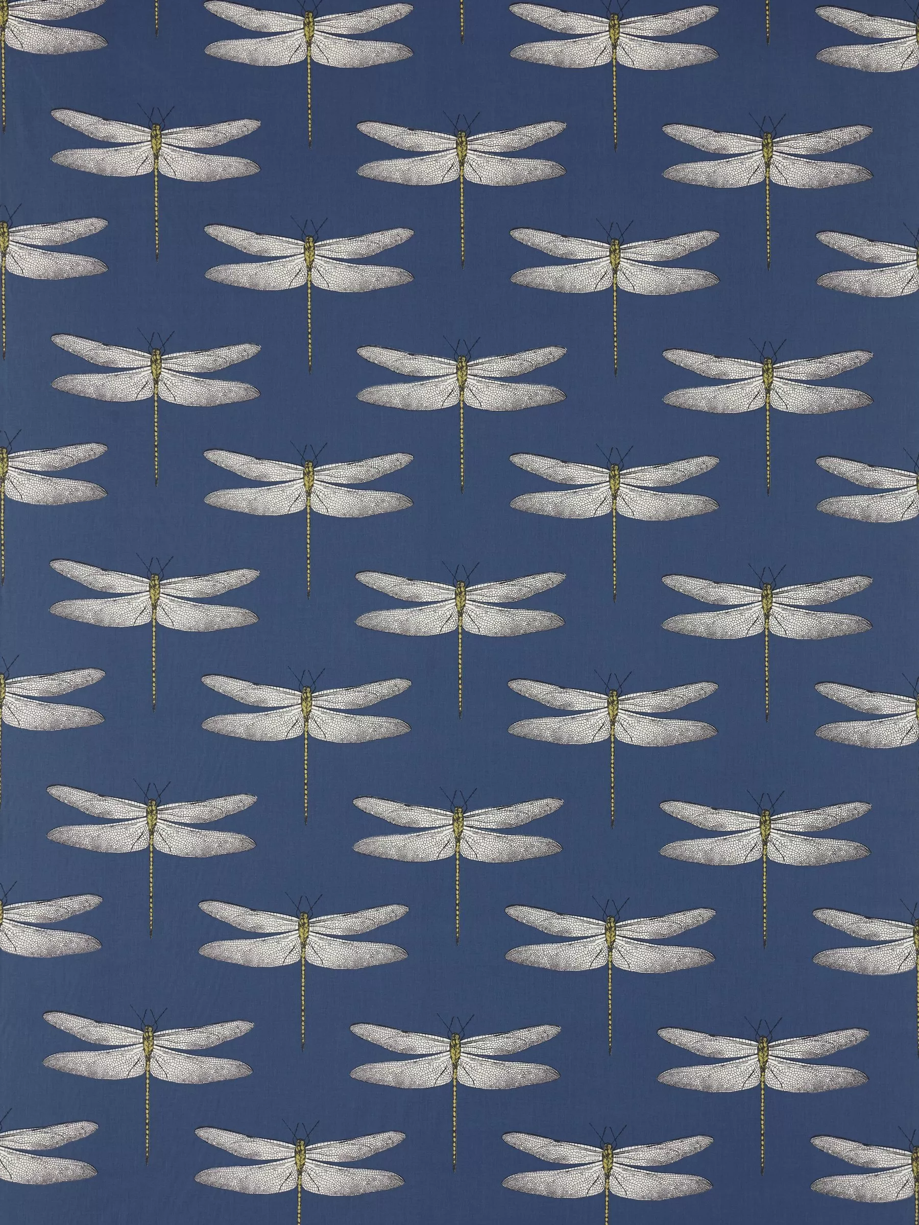 Ink/Chartreuse  - Out of stock