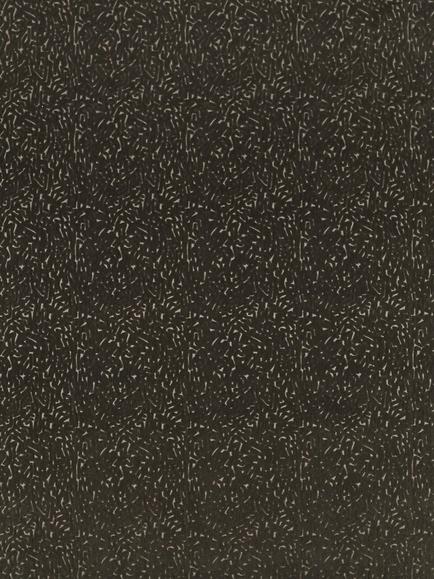 Harlequin Lyrical Furnishing Fabric, Black Earth