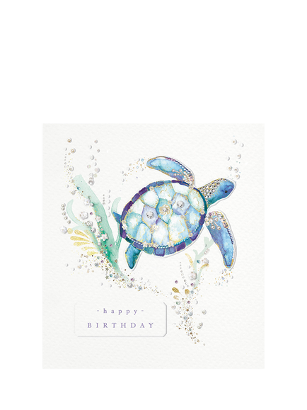 The Proper Mail Company Turtle Birthday Card, 