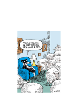 Woodmansterne Sheep Counting Blank Greeting Card, 