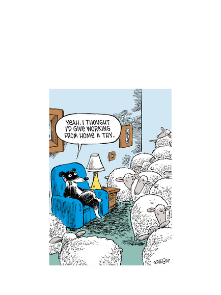 Woodmansterne Sheep Counting Blank Greeting Card, 