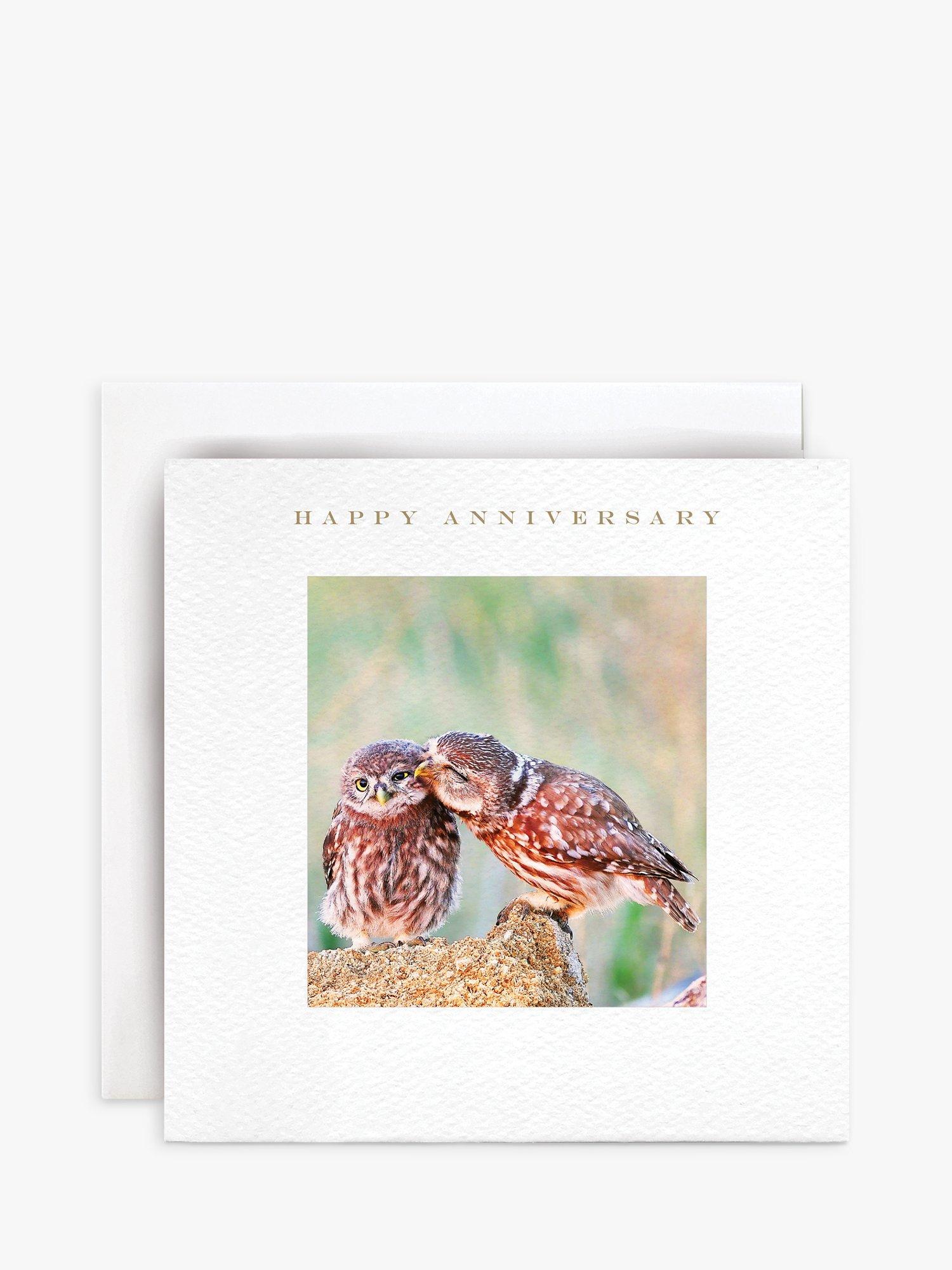 Susan O'Hanlon Owls Anniversary Card