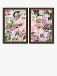 John Lewis Andrea Haase 'Flamingos' Framed Print, Set of 2, 67 x 47cm, Pink/Multi