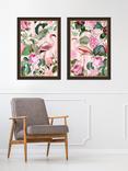 John Lewis Andrea Haase 'Flamingos' Framed Print, Set of 2, 67 x 47cm, Pink/Multi