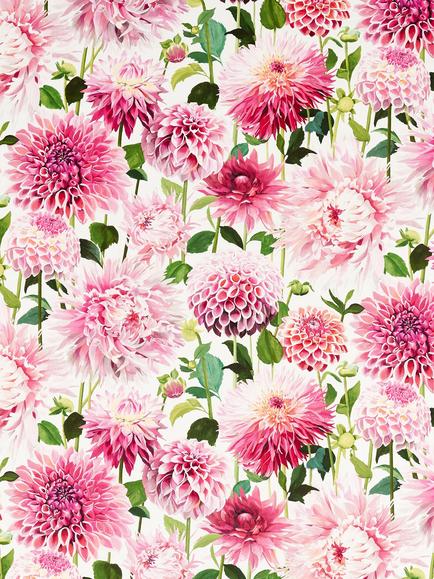 Harlequin Dahlia Furnishing Fabric, Blos/Emer/New