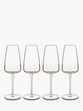 Luigi Bormioli Talismano Prosecco Glass, Set of 4, 400ml, Clear