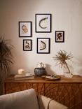 John Lewis Gallery Set Multi-aperture Wood Photo Frames & Mounts, 5 Photo, Black