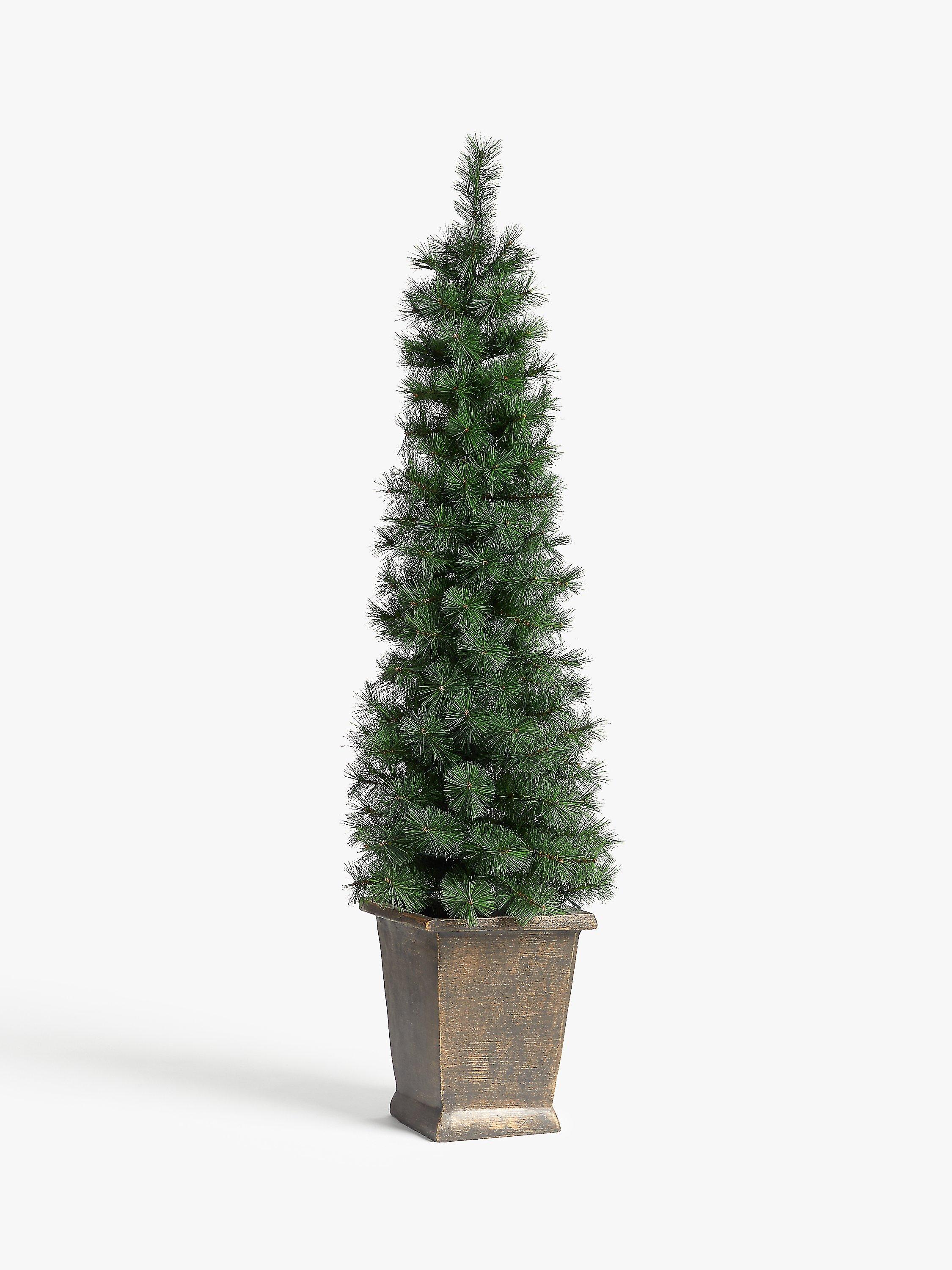 John Lewis Pencil Pine Potted Pre-lit Christmas Tree, 5ft