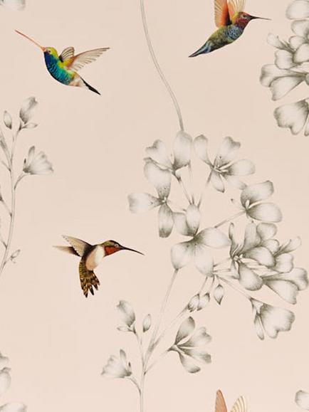 Harlequin Amazilia Wallpaper, Htew112606