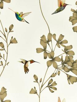 Harlequin Amazilia Wallpaper, Htew112607