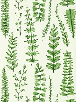 Scion Ferns Wallpaper, NART112798, Nart112798