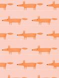 Scion Midi Fox Wallpaper