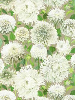 Harlequin Dahlia Wallpaper, Hqn2112844