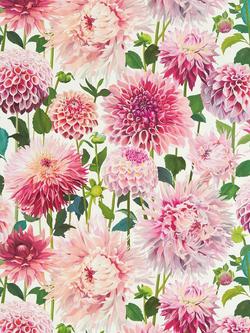 Harlequin Dahlia Wallpaper, Hqn2112843