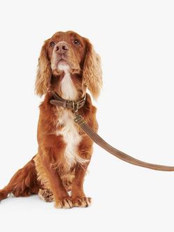 Barbour Leather Dog Lead, Mid Brown - view 2, Mid Brown