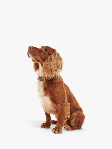 Barbour Leather Dog Collar, Mid Brown, M - view 2, Mid Brown