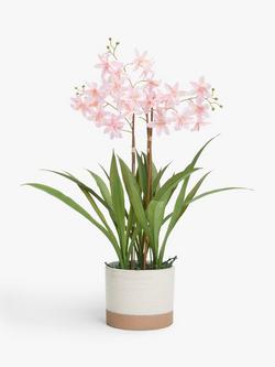 John Lewis Artificial Mini Orchid in Ceramic Pot, Multi Multi