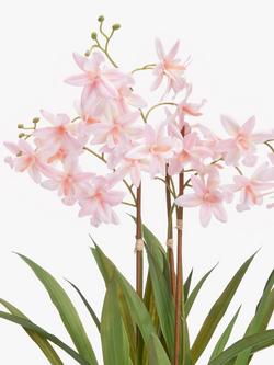 John Lewis Artificial Mini Orchid in Ceramic Pot - view 2, Multi Multi