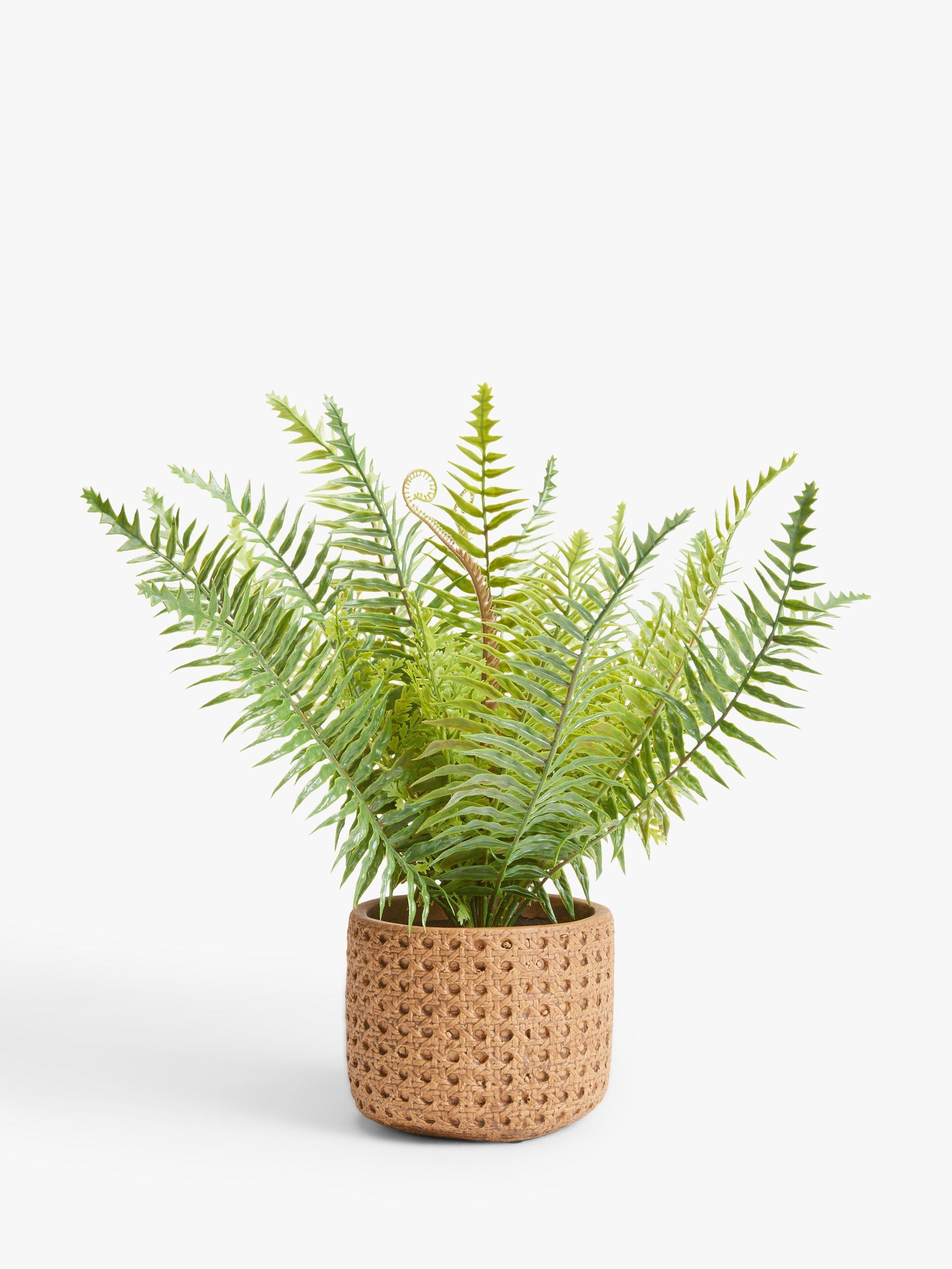 John Lewis Artificial Fern in Ceramic Pot