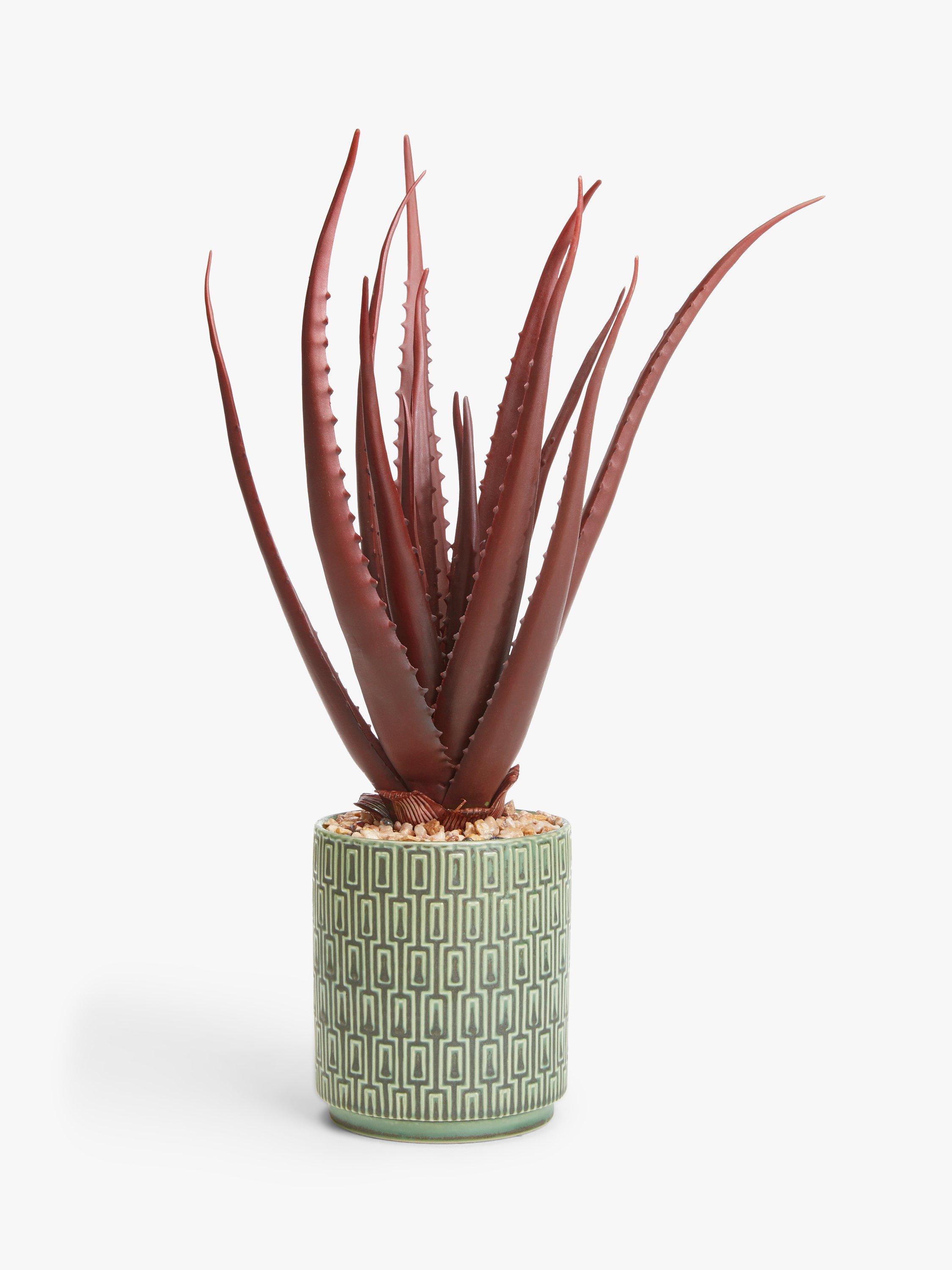 John Lewis Artificial Aloe Plant in Ceramic Pot