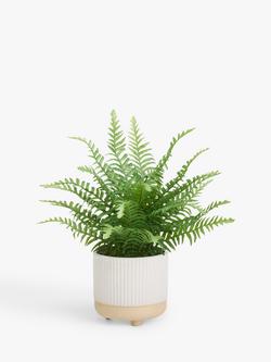 John Lewis Artificial Fern Bush in Ceramic Pot, Multi