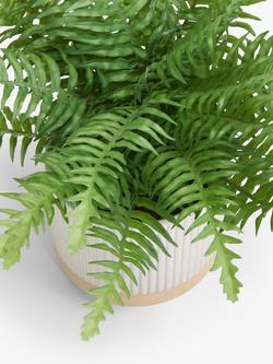 John Lewis Artificial Fern Bush in Ceramic Pot - view 2, Multi